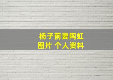 杨子前妻陶虹图片 个人资料